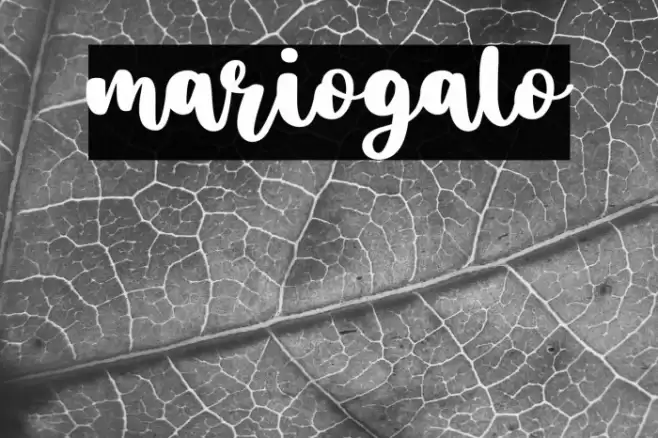 mariogalo Font examples
