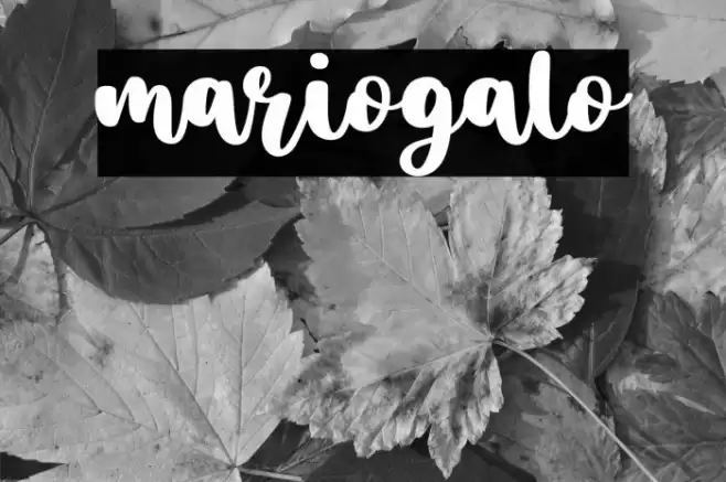 mariogalo Font examples