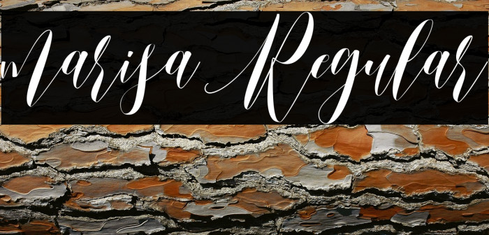 marisa Regular Example 1