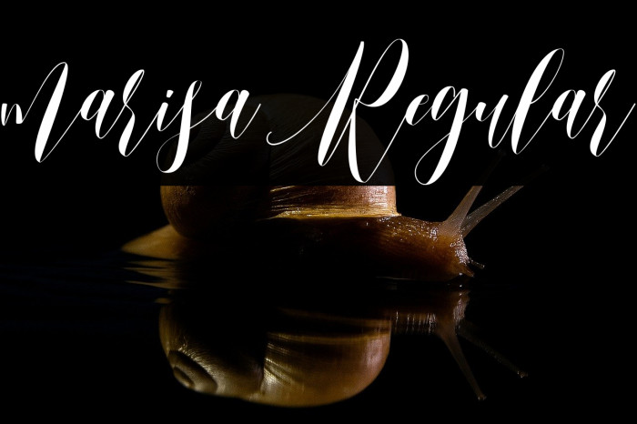 marisa Regular Example 2