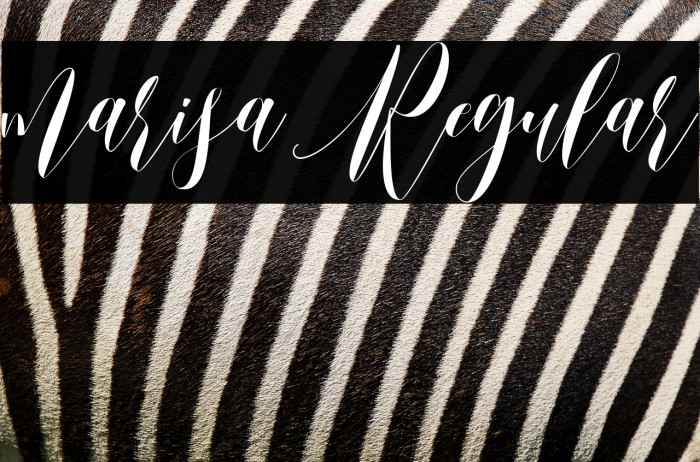 marisa Regular Example 3