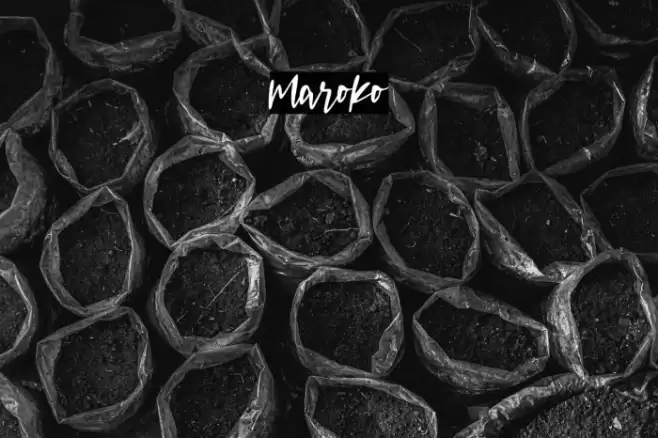 maroko Font examples