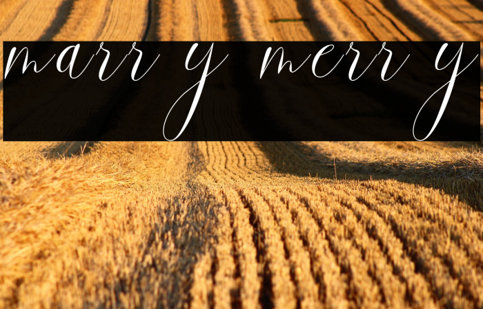 marry merry Example 1