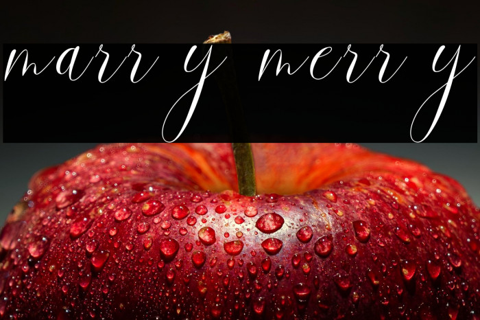 marry merry Example 3