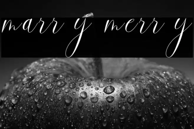 marry merry Font examples
