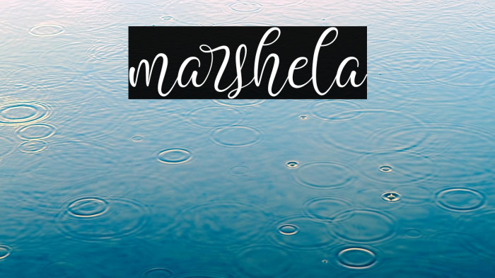 marshela Example 1