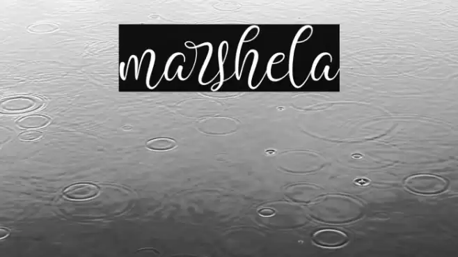 marshela Font examples