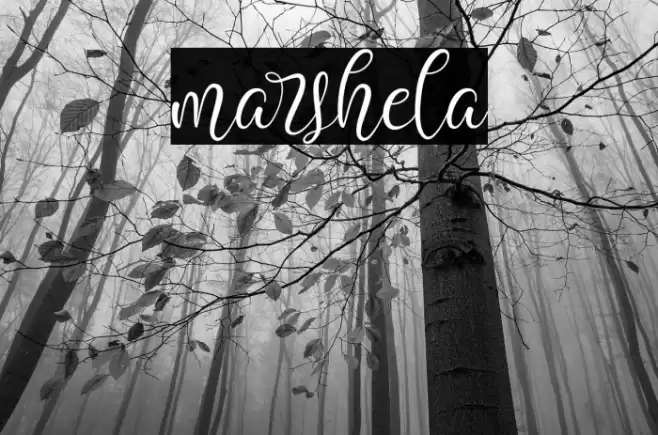 marshela Font examples
