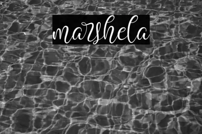 marshela Font examples