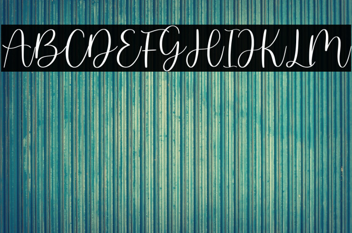 martin kamila - demo version Example 1