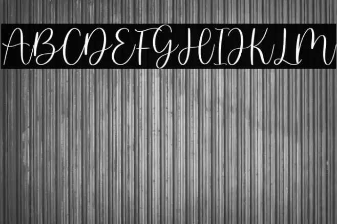 martin kamila - demo version Font examples