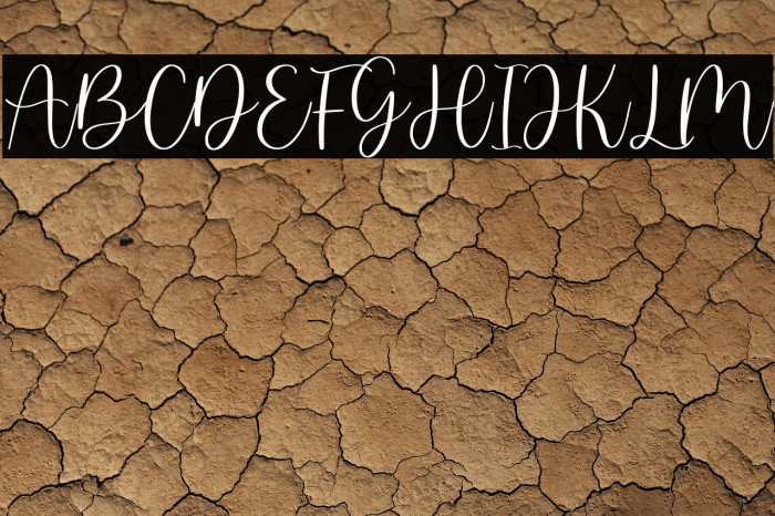 martin kamila - demo version Example 2