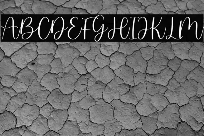 martin kamila - demo version Font examples