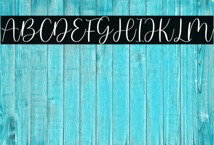 martin kamila - demo version Example 3