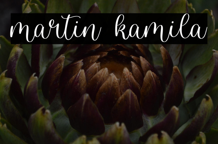 martin kamila Example 1