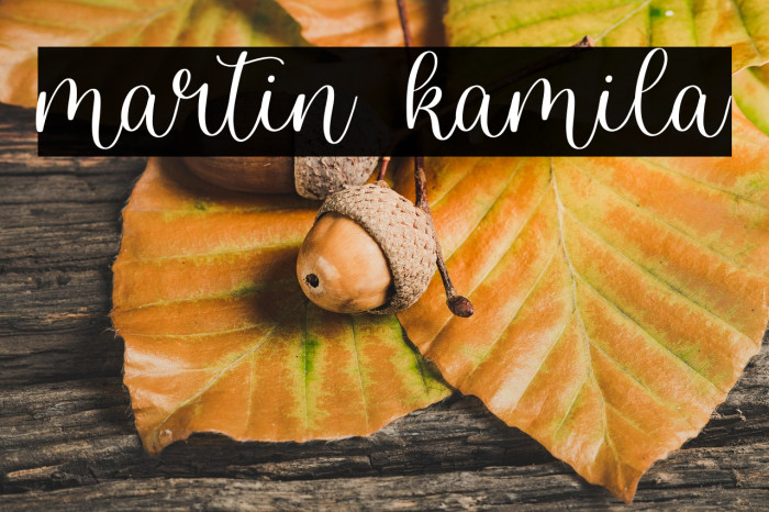 martin kamila Example 2