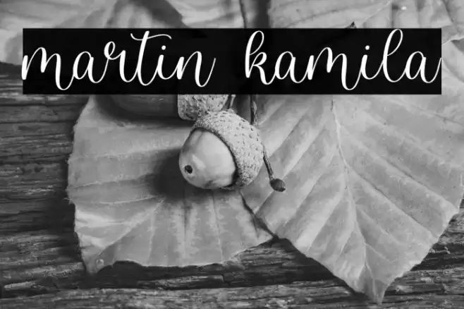 martin kamila Font examples
