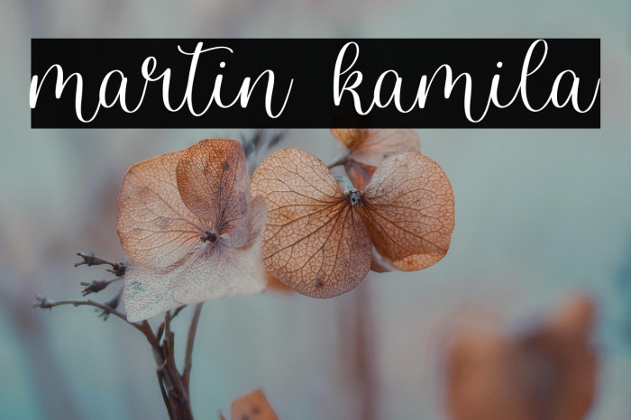 martin kamila Example 3
