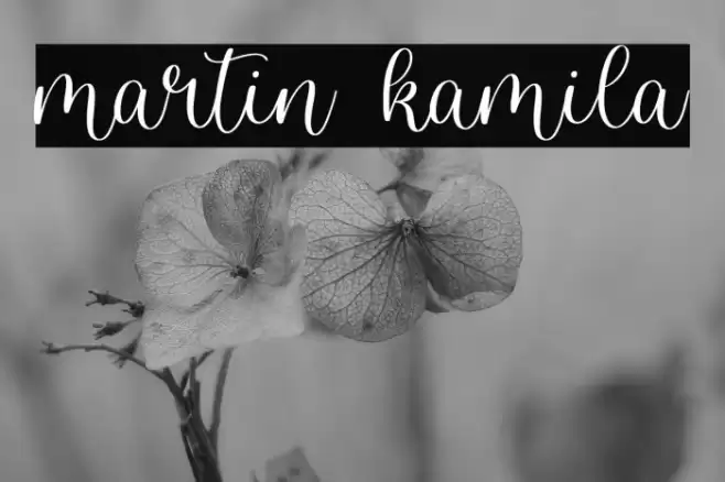 martin kamila Font examples