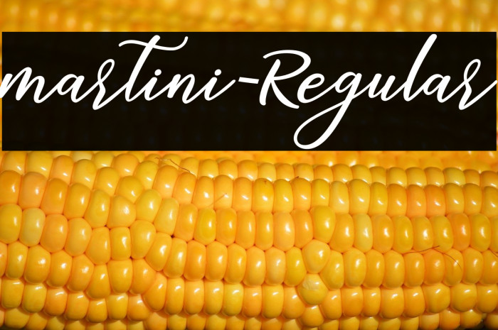 martini-Regular Example 1