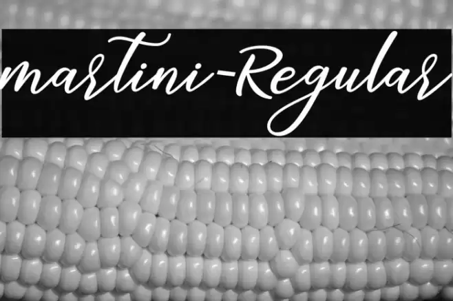 martini-Regular Font examples