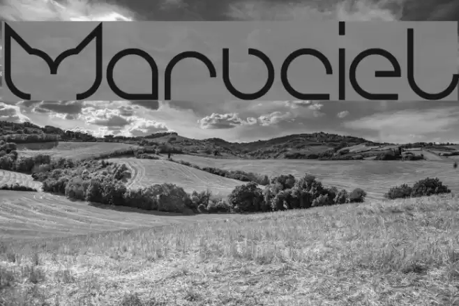 maruciel Font examples