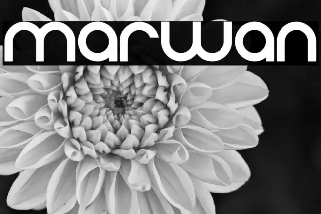 marwan Example 1