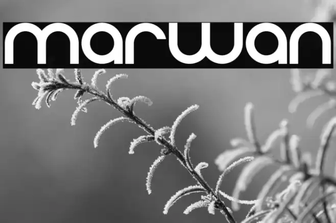 marwan Example 2