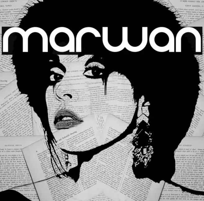 marwan Example 3