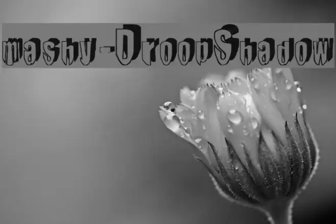 mashy-DroopShadow Шрифта examples