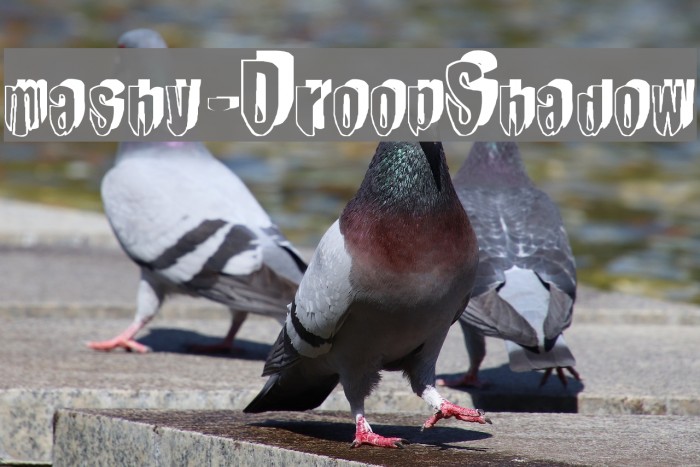 mashy-DroopShadow Font examples
