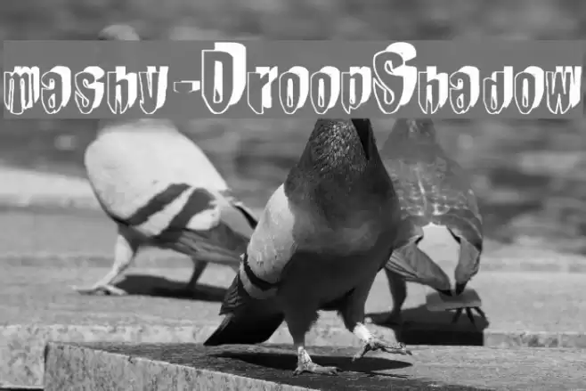 mashy-DroopShadow Шрифта examples