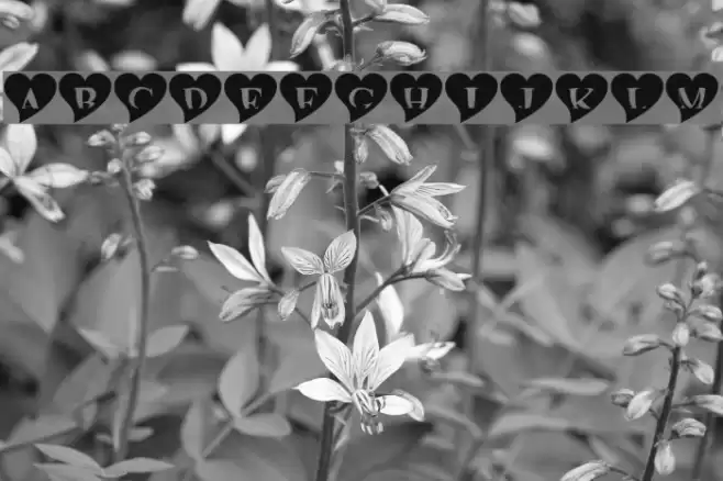 mashy Valentine Font examples