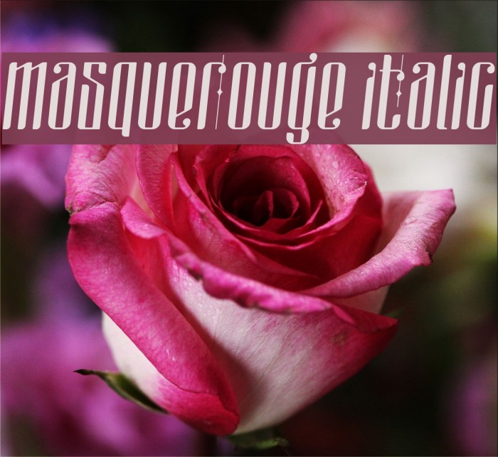 masquerouge italic Font examples