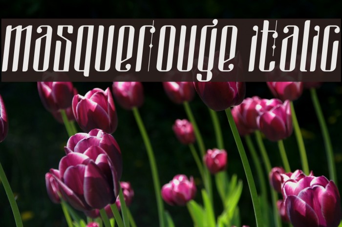 masquerouge italic Font examples