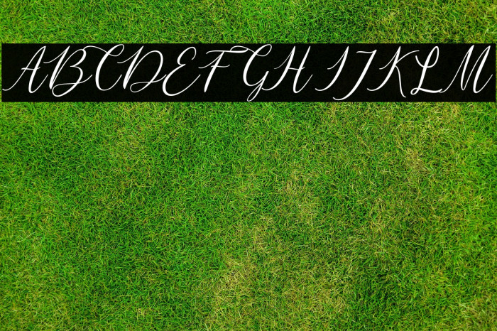 mataniascript-Regular Example 1