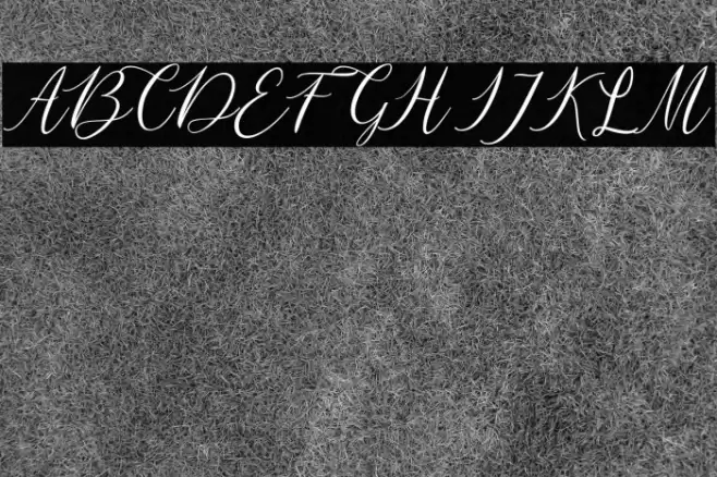 mataniascript-Regular Font examples