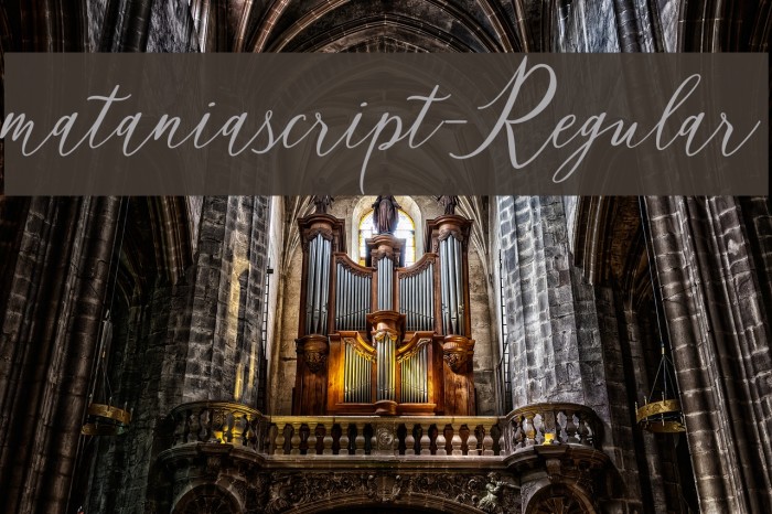 mataniascript-Regular Example 1