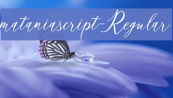 mataniascript-Regular Example 2