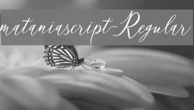 mataniascript-Regular Font examples