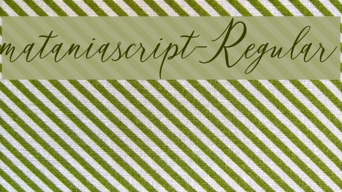 mataniascript-Regular Example 3