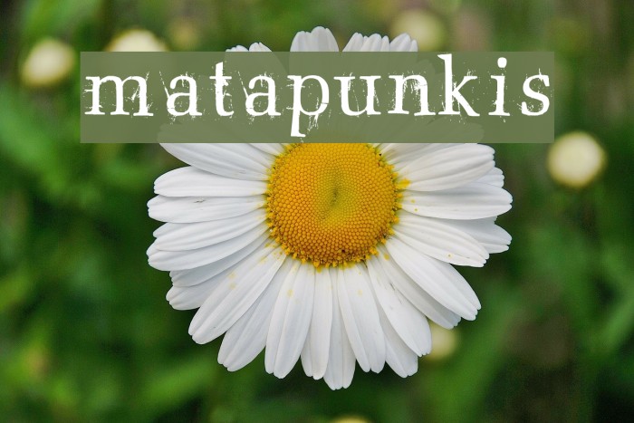 matapunkis Font examples