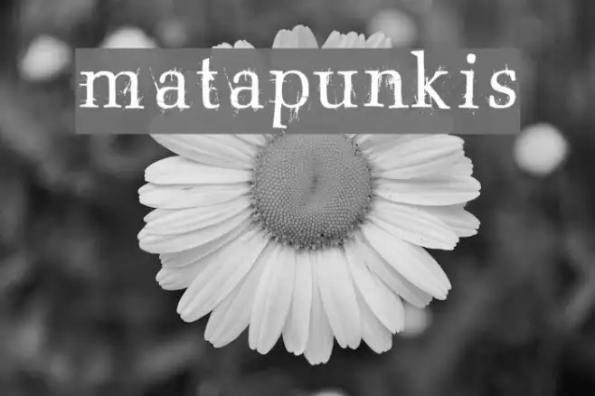 matapunkis Example 1