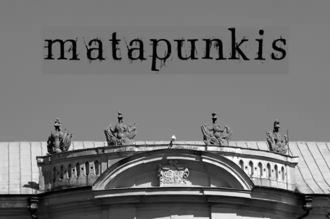 matapunkis Example 2