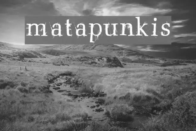 matapunkis Example 3
