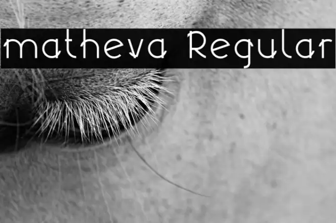 matheva Regular Example 2