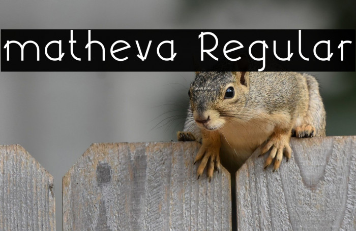 matheva Regular Example 3