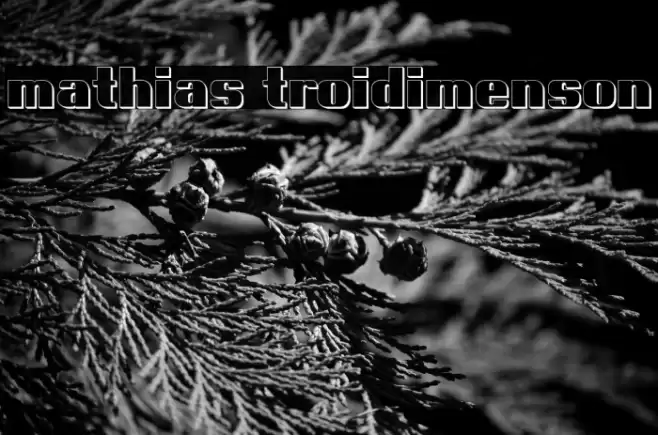 mathias troidimenson Font examples