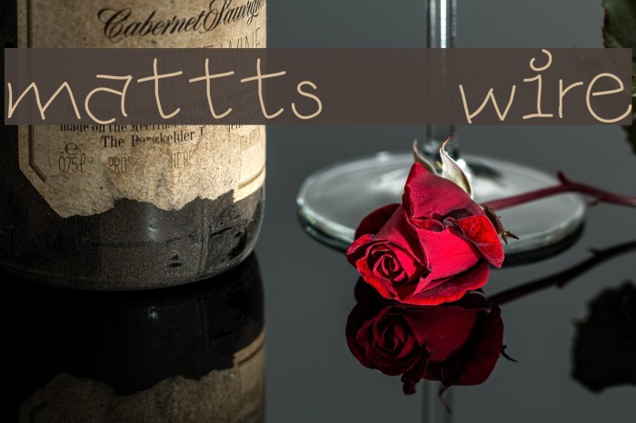mattts wire Font examples