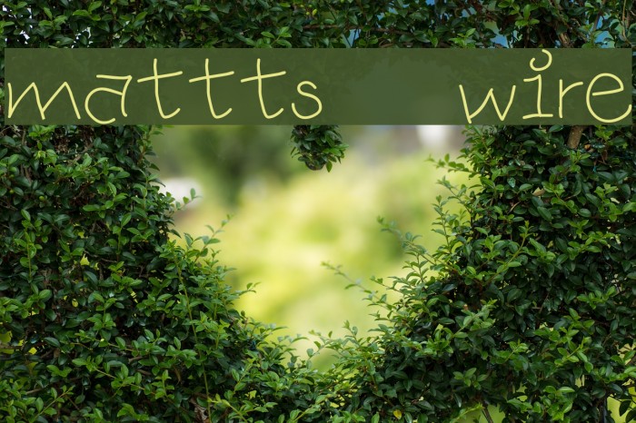 mattts wire Font examples